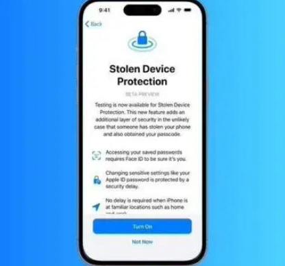 宣恩苹果授权维修店分享被盗设备保护功能开启方法 