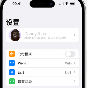 宣恩appleID维修服务iPhone设置中Apple ID显示为灰色无法使用