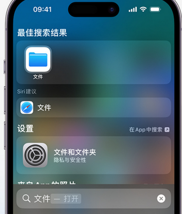 宣恩apple维修中心分享iPhone文件应用中存储和找到下载文件 