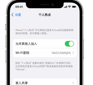 宣恩apple服务站点分享iPhone上个人热点丢失了怎么办 