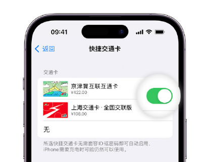 宣恩apple维修点分享iPhone上更换Apple Pay快捷交通卡手绘卡面 