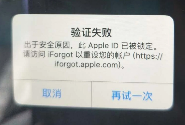 宣恩iPhone维修分享iPhone上正常登录或使用AppleID怎么办 