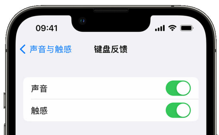 宣恩苹果手机维修分享iPhone 14触感键盘使用方法 