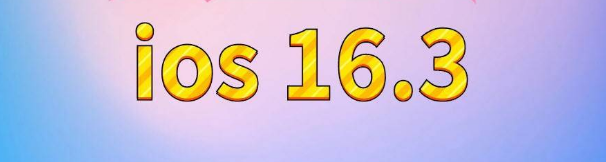 宣恩苹果服务网点分享苹果iOS16.3升级反馈汇总 