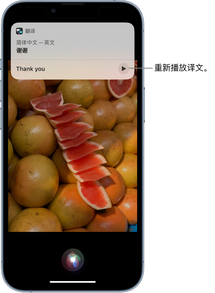 宣恩苹果14维修分享 iPhone 14 机型中使用 Siri：了解 Siri 能帮你做什么 