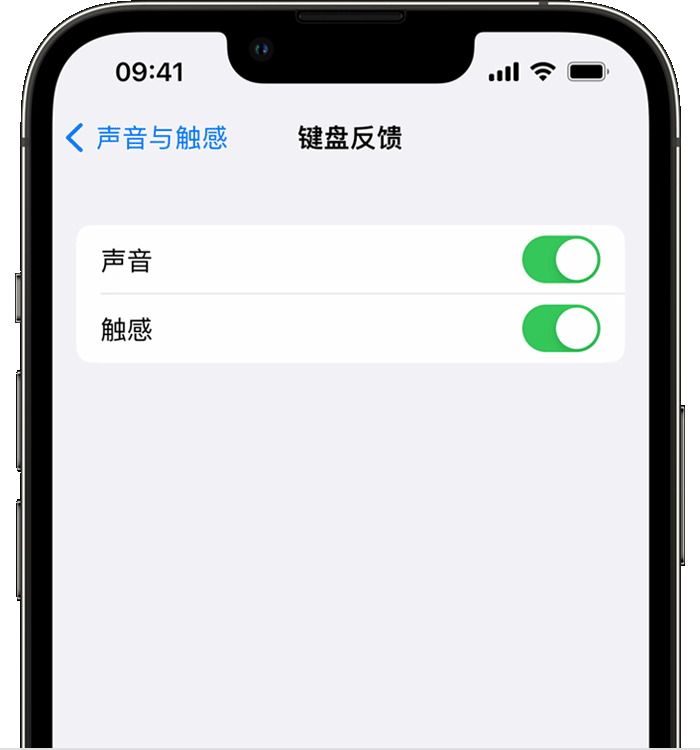 宣恩苹果14维修分享iPhone 14 系列机型如何开启键盘声音或触感反馈 