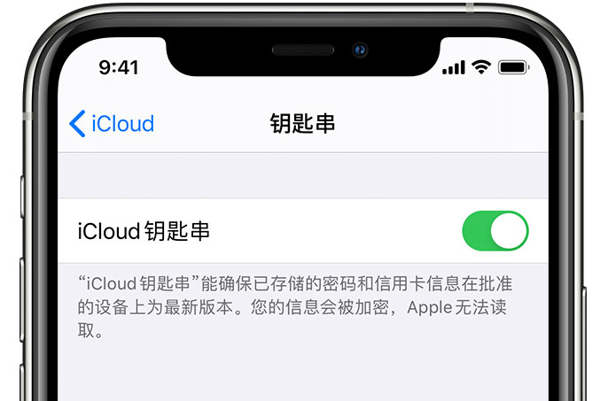 宣恩苹果手机维修分享在 iPhone 上开启 iCloud 钥匙串之后会储存哪些信息 