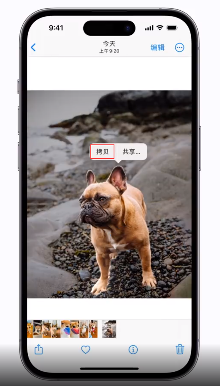 宣恩苹果手机维修分享 iOS 16 自带一键抠图功能 