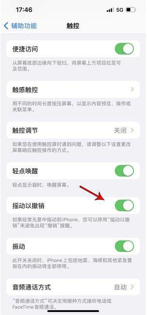 宣恩苹果手机维修分享iPhone手机如何设置摇一摇删除文字 