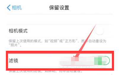 宣恩苹果13维修分享iPhone13拍照有绿点是怎么回事 