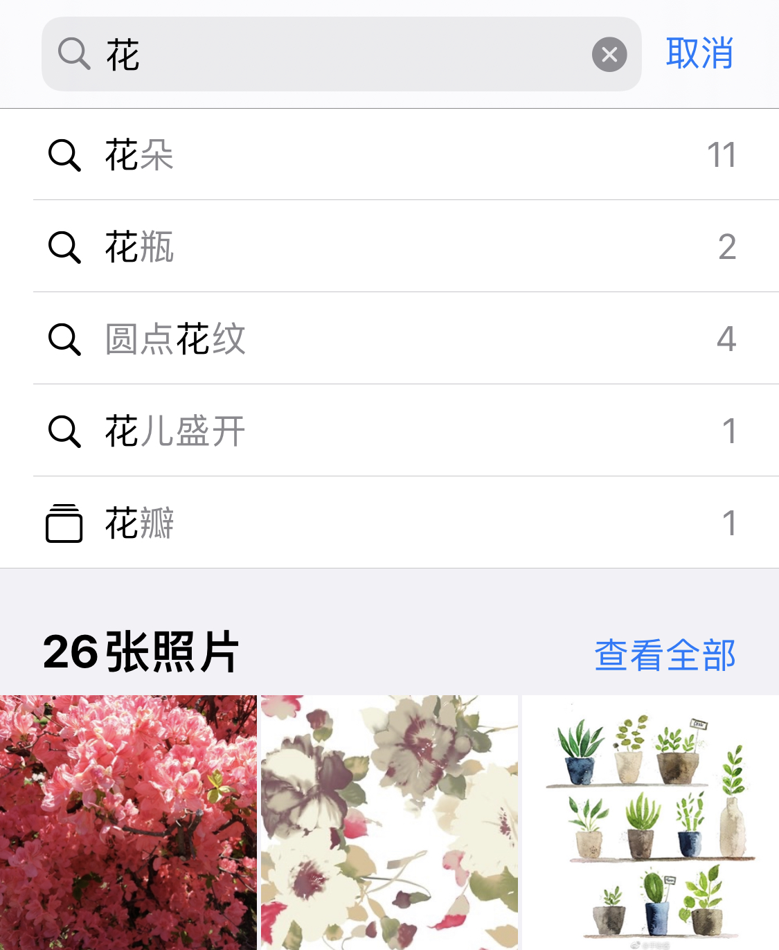 宣恩苹果手机维修分享iPhone 小技巧 