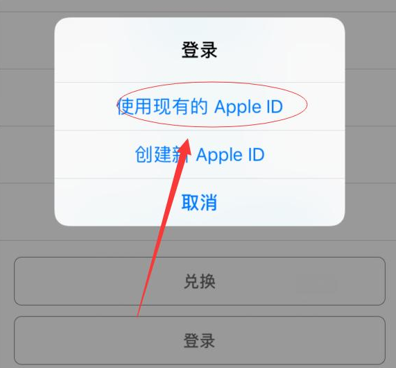 宣恩苹果手机维修分享两台iPhone设备可以同时登录一个Apple ID吗 
