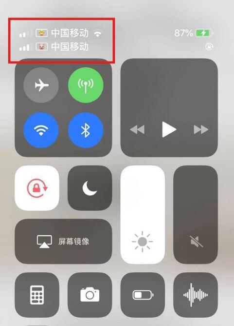 宣恩苹果手机维修分享为 iPhone 12 双卡设置标签 